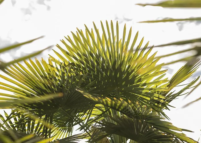 Boutique Riviera Spiez