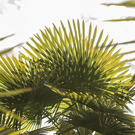 Boutique Riviera Spiez